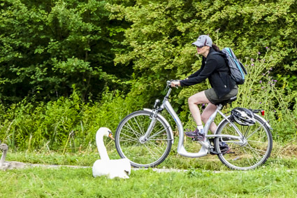 Bicylist on Moselle River in Germany