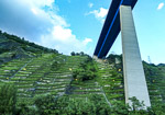 Moselle Viaduct and vineyards