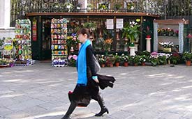 Walking in Paris