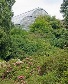 Palm House (Palmenhaus), Mainau, Germany