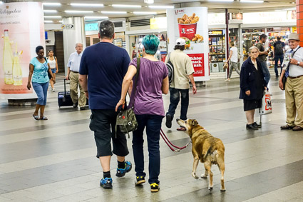 Nuremberg Hauptbahnhof lower level