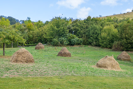 Meadow with haystacks, Giverny