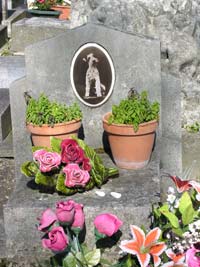 Wire-haired terrier grave at Le Cimetire des chiens d'Asnires-sur-Seine near Paris