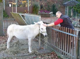 La Chaux-de-Fonds Zoo and Vivarium petting zoo