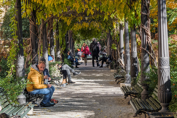 Park benches and fall colors in Royal Gardens, Venice.