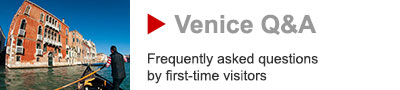 Venice FAQ banner