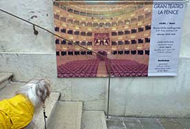 Maggie at Gran Teatro La Fenice